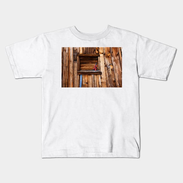 Viola in window Kids T-Shirt by photogarry